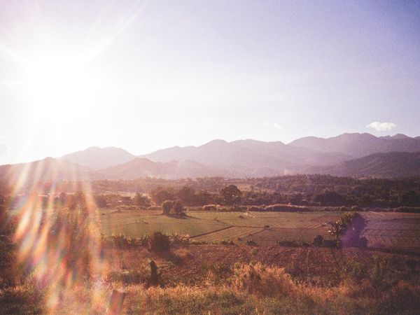 Hayfield