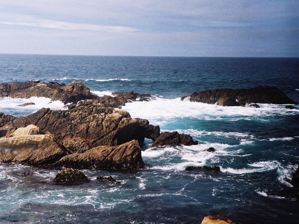 Ocean