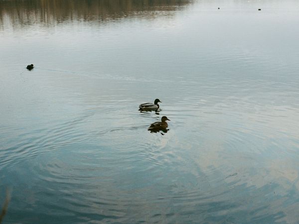 Lake/natural