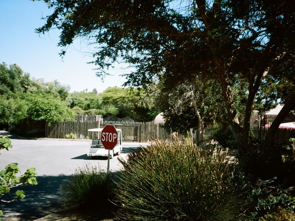 Picnic Area
