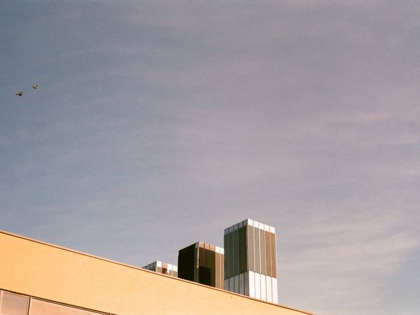 Sky