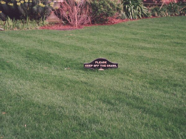 Lawn