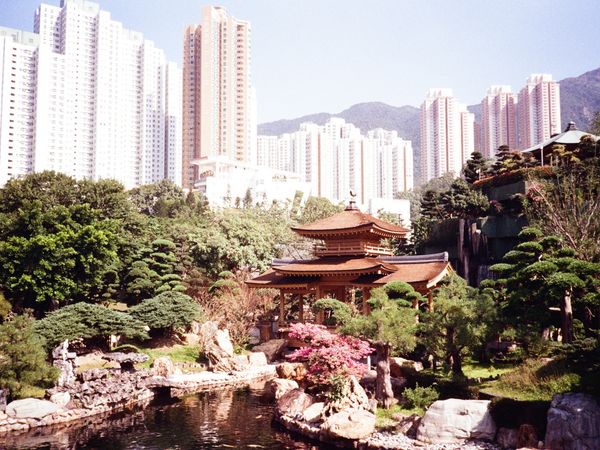 Japanese Garden