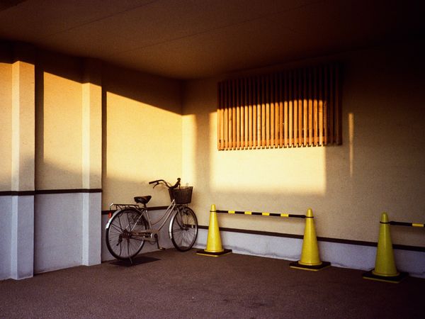 Stable