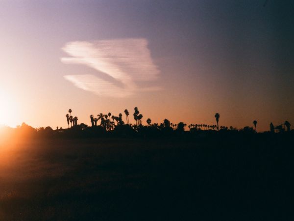 Sky
