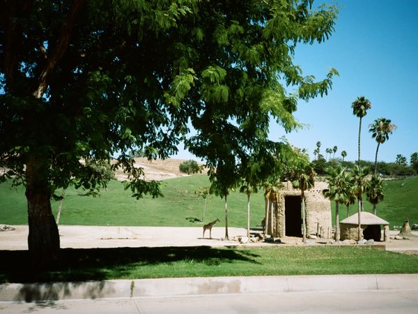Picnic Area