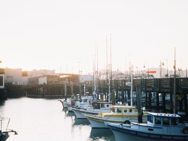 Harbor