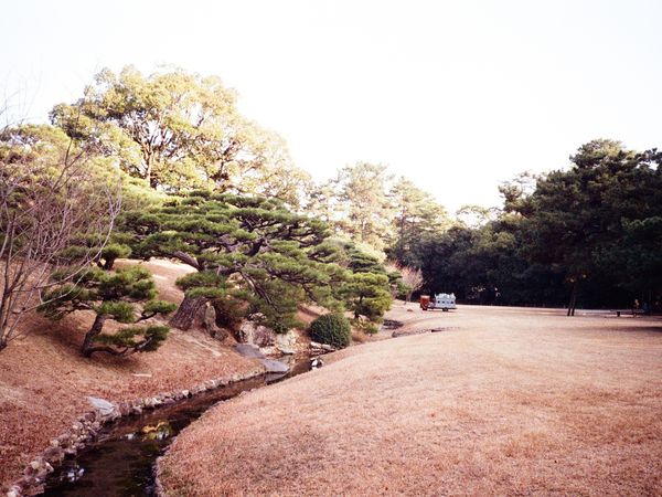 Zen Garden